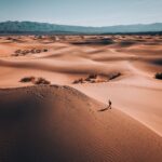 What Is an SEO Company and Why It Matters